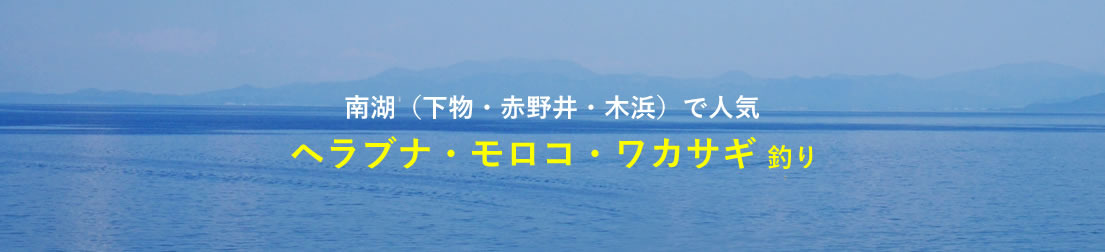 南湖（下物・赤野井・木浜）で人気 ヘラブナ・モロコ・ワカサギ 釣り